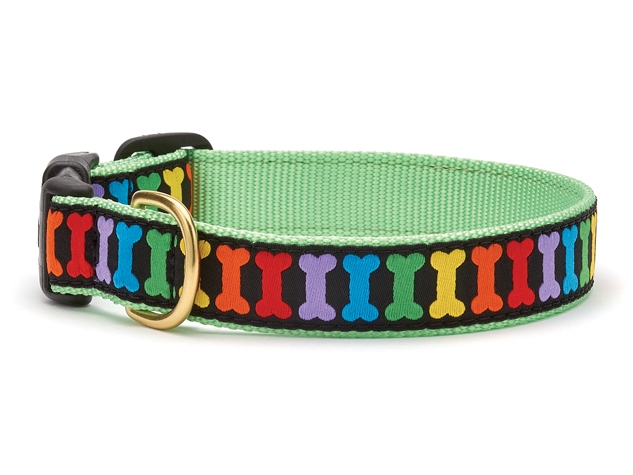 Squeaker dog outlet collar